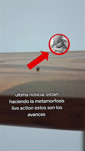 Metamorfosis de Kafka: Avances en Live Action