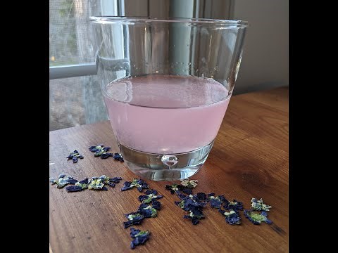 Homemade Creme De Violette- Wild Violet Liqueur