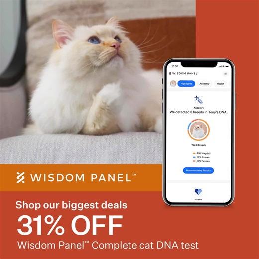 Shed light on your cat’s health, breed and more with the most comprehensive cat DNA test, now 31% off. | Wisdom Panel