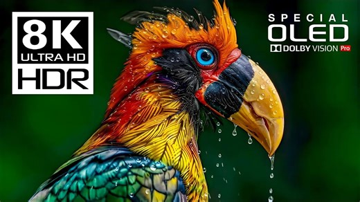 【震撼级画质】8K HDR 120FPS｜杜比视界   OLED 测试必看！ 全网最强🔥 8K 杜比视界 HDR 演示｜120帧丝滑流畅！ 【眼睛的盛宴】