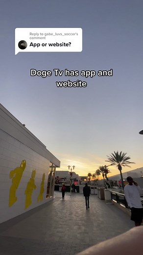 Doge TV on TikTok