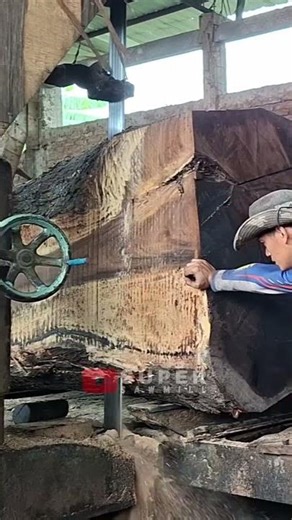 This Old Saw Refuses to Quit… Watch It Slice Through a Giant Log!