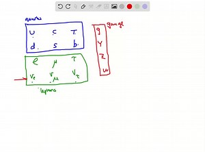 SOLVED:According to the standard model, which of the following are elementary: neutrino, neutron, quark, muon, photon, antiproton?