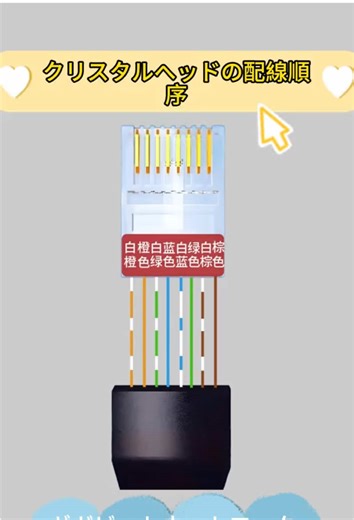 TikTokでZhaoSuCableさんをチェック！