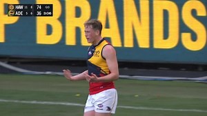 Cook starts cooking as Crows surge back