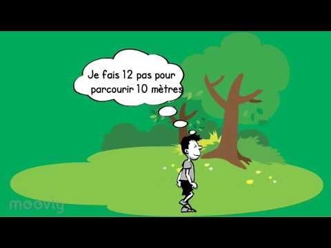 Capsule vidéo EPS: Course d'orientation séance 6&7