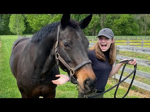 Prep for a Horse Show!!