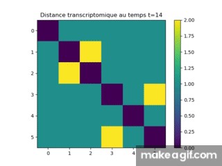 transcriptoms on Make a GIF