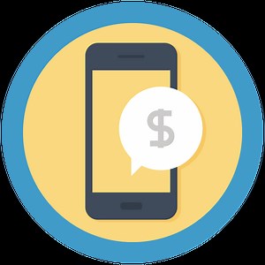 Donations Add On Plugin for PMPro