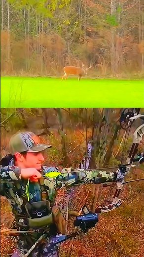 Epic Deer Hunting with Archery | Clean & Accurate Bow Shot #bowhunting #softarchery