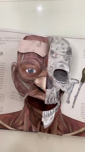 Interactive Science Book: Understanding the Human Body