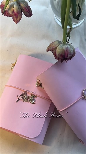 Explore The Blush Series: Princess Leather Journals