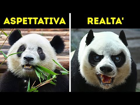 18 Animali Che Sembrano Innocui Ma Non Lo Sono