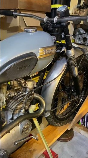 triumph tiger cub TR20