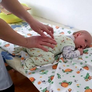 35K views · 146 shares | Don't stop it :D :D | Pew Babies | Facebook