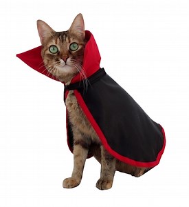 Halloween Vampire Pet Costume: Satin and Cotton, Black & Red Dracula Outfit - Etsy