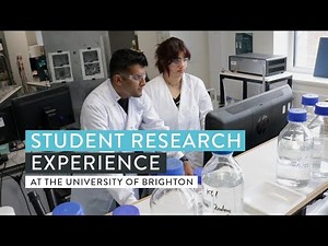 Student Research Experience Scheme