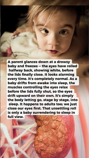 Why a Baby's Eyes Roll Back as It Falls Asleep