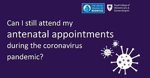 1.5K views · 17 reactions | Your antenatal appointments are an important part of your maternity care, providing checks and screening on you and your baby’s health. If you are well, you should be able to attend your appointments. Read our Q&As for pregnant women: https://fal.cn/39Wii | Royal College of Obstetricians and Gynaecologists RCOG | Facebook