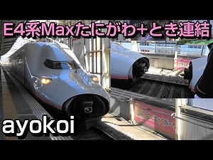 E4 shinkansen "Max" coupling