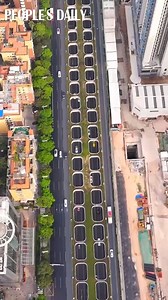 11K views · 182 reactions | Enjoy the sight of this uniquely designed Huangpu Avenue Tunnel filled with green plants, where drivers can witness the sunlight piercing through the hollows in Guangzhou, south China's Guangdong Province. #driving #AmazingChina | People's Daily, China | Facebook