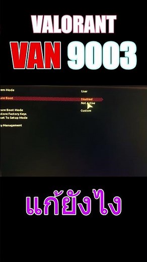 VAN9000 Valorant | Secure boot