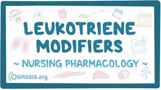 Leukotriene modifiers: Nursing pharmacology: Video, Causes, & Meaning | Osmosis