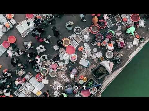 The One Health approach