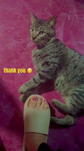 Yeyy thank you so much 🥰