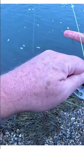 Maxcatch 2wt UK Saltwater fly fishing