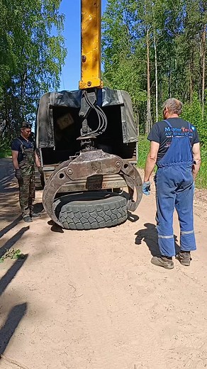 Starfall (@_.starfall._0)’s videos with Digital World - Amaranthe