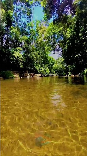 Hidden Natural Pool in Sri Lanka 🇱🇰💧 | Paradise You Must Visit! #cinematic #nature #love