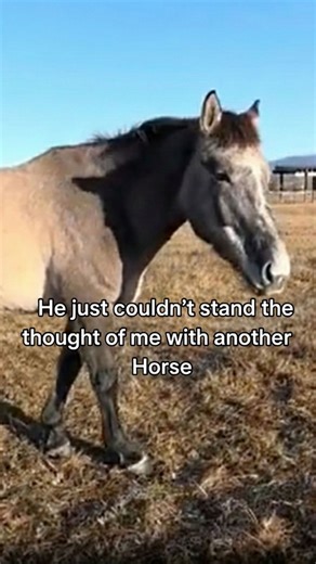 Learning That Rudnik Gets Jealous Very Easily