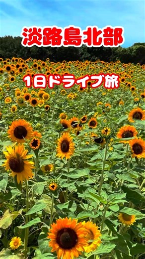 【🇯🇵淡路島北部】絶景・グルメ・神社を巡る！夏の1日ドライブ旅 ❣️🎵Yukari Original Music