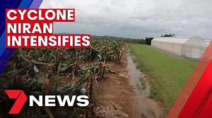 17K views · 204 reactions | Cyclone Niran continues to intensify tonight, likely to soon be upgraded to a category three. The system has already left a trail of destruction, damaging homes, and wiping out crops, across the Far North. www.7NEWS.com.au #TCNiran #qldweather #7NEWS | 7NEWS Brisbane | Facebook