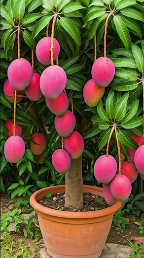 Grow Mango Tree from Branch | 100% Success Method with Cuttings