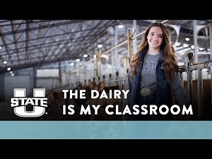 Discover Dairy Science at Utah State