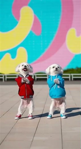 TikTok Pop Dog Dance 😂🐶🎵 #dogdance