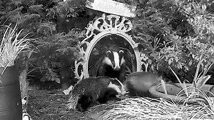 24K views · 2.6K reactions | A sad day today remembering Little...