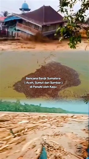 Bencana Banjir Sumatera ( Aceh, Sumut dan Sumbar ) di Penuhi oleh Kayu. #fyp #banjir #bencanaalam #aceh #sumatra #sumatrabarat #sumatrautara #melayu