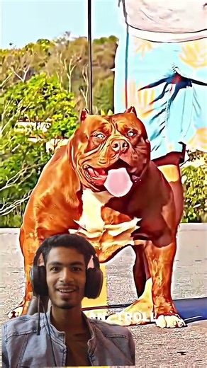 #animals #funny #trolling #trending #trollface #snake #transformation #shocking