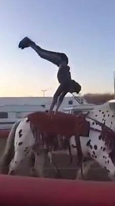 12K views · 212 reactions | Sure you can tumble. But can you do it on a horse? How about two of them while they're running around!? | Addicted To Tumbling | Facebook