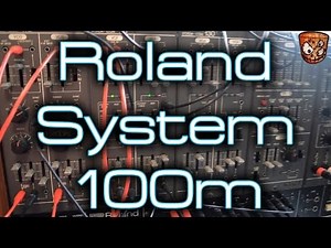 Playing with the - Roland System 100m