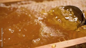 Honey dripping from honey comb on nature background, close up. Thick honey dripping from the honeycomb. Healthy food concept