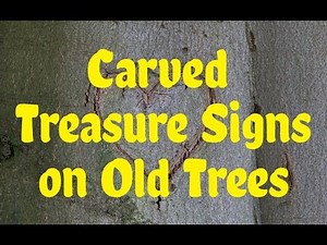 Carved Treasure Signs on Old Trees