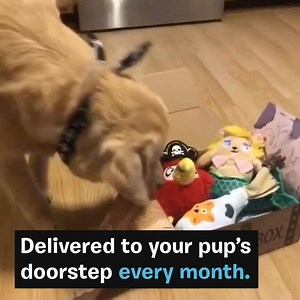 Cardboard boxes just got a LOT more exciting. Every BarkBox is personalized for your pup, packed with their favorite toys and treats. | BarkBox