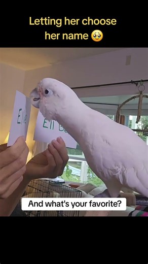 Why these things, Jen? ❤️🥺 (Oh, the magic of communicating... and reading!) I wanted to tell you a