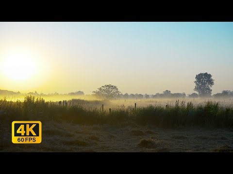 4K Countryside morning sunrise Ambience Window view with Nature Sounds - No frame