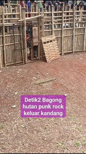 Bagong punk rock | Asep Irwan