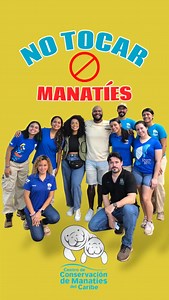 9.5K views · 2.2K reactions | Los manatíes NO SE TOCAN El centro de @manati_pr están trabajando fuertemente por la conservación de esta especie  | Scottie Durán | Facebook